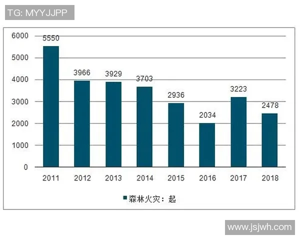 围绕世界顶级足球俱乐部发展的多元化运营模式探析趋势与策略研究洞察